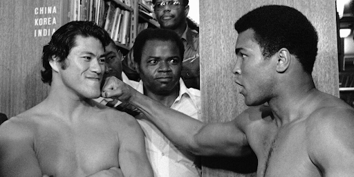 What is the Difference between a Wrestler and a Boxer?: Unveiled Secrets
