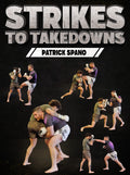Strikes to Takedowns by Patrick Spano